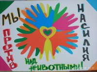 средняя группа №3 «Звездочки» «Детский сад №8 «Аленушка» г. Елизово